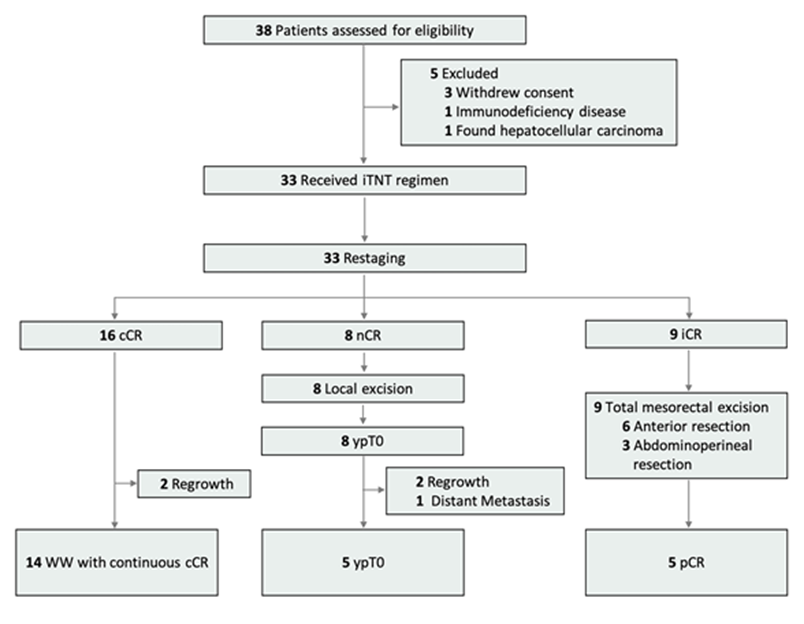 17655293393081.png 17655293393081.png